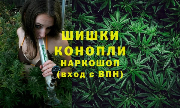 спиды Корсаков