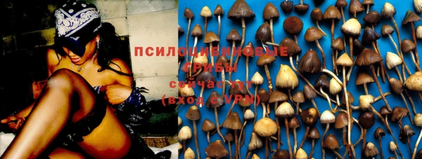 соль ск Костерёво